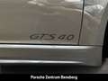 Porsche Cayman 718 Cayman GTS 4.0 Grau - thumbnail 32