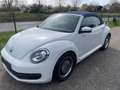 Volkswagen New Beetle 1.8 Turbo * AUTOMATIK * HU/AU NEU * Blanco - thumbnail 16