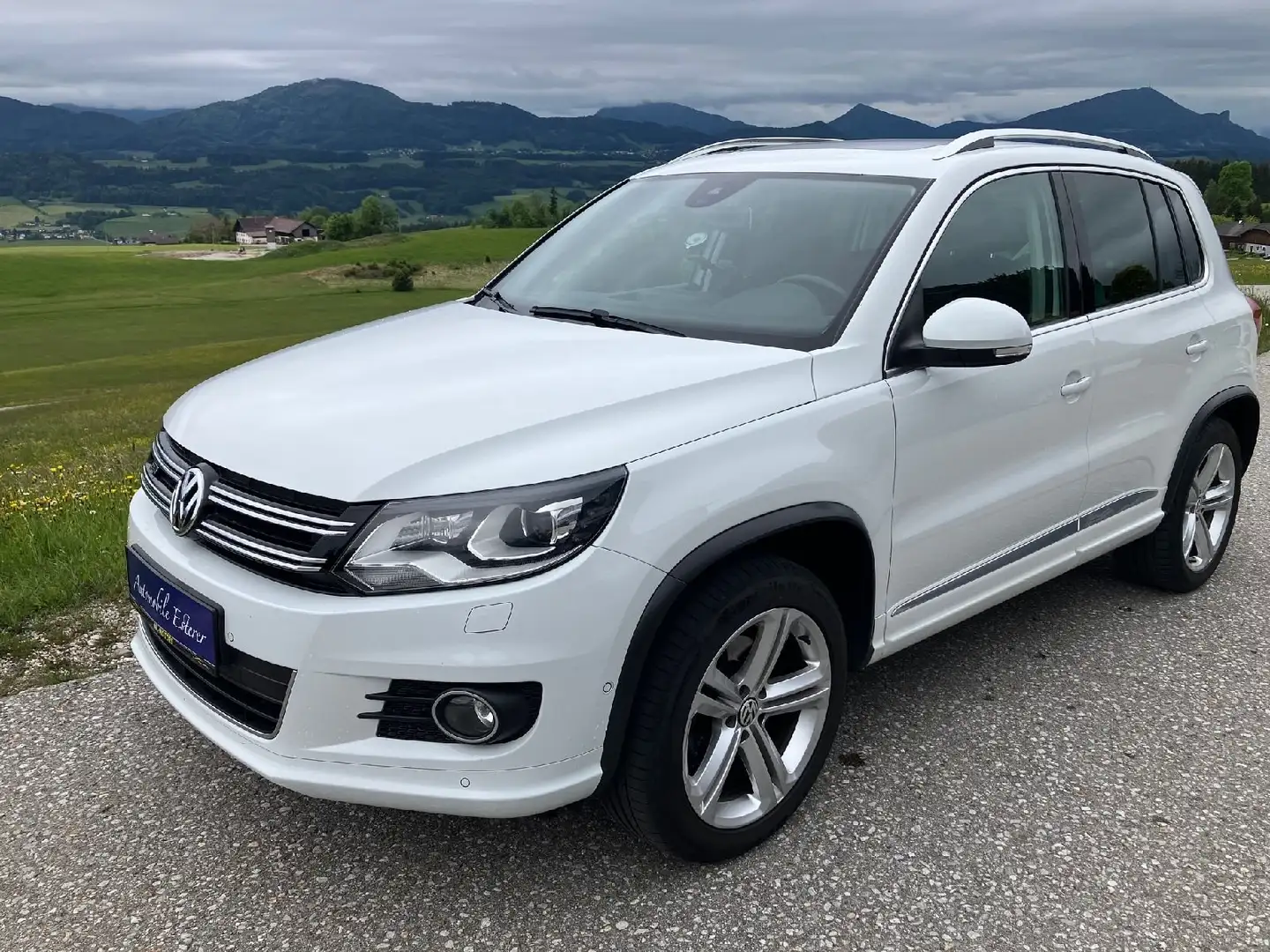 Volkswagen Tiguan Sport 1.4 TSI BlueMotion Tech, Sky, R-Line, SD el. Weiß - 1