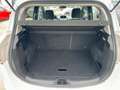 Ford B-Max 1.4 Duratec Trend Klima*PDC*Sitzheizung Wit - thumbnail 9