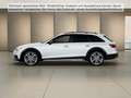 Audi A4 allroad A4 allroad 40 TDI quattro Pano AHK LED Bang & Ol Alb - thumbnail 3