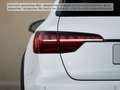 Audi A4 allroad A4 allroad 40 TDI quattro Pano AHK LED Bang & Ol Alb - thumbnail 6