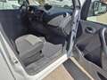 Renault Kangoo Fg. 1.5Blue dCi Profesional 59kW Blanco - thumbnail 9