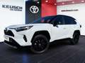 Toyota RAV4 RAV4 Style 2,5, 218 PS 4x2 Hybrid Weiß - thumbnail 2