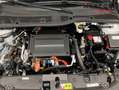 Peugeot 208 Allure Pack Eléctrico 100kW Blanco - thumbnail 14