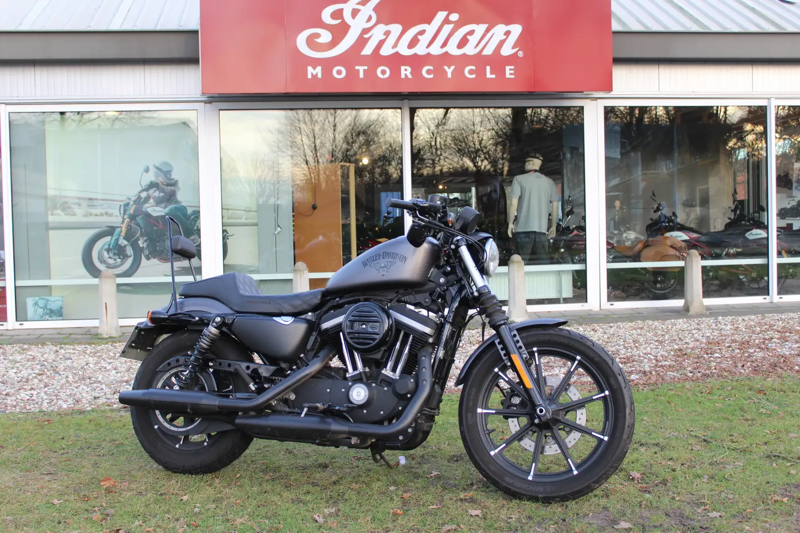Harley-Davidson Sportster XL 883 xl 883 n iron srebrna - 2