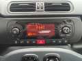 Fiat Panda Panda 1.0 FireFly S&S Hybrid Blau - thumbnail 12