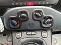 Fiat Panda Panda 1.0 FireFly S&S Hybrid Blau - thumbnail 13
