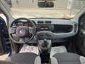 Fiat Panda Panda 1.0 FireFly S&S Hybrid Blau - thumbnail 9