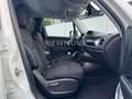 Jeep Renegade 1.4 Limited FWD PDC Keyless Navi AHK Weiß - thumbnail 17