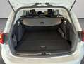 Ford Focus Turnier 1.5 EcoBlue Aut. TITANIUM EDITION Blanc - thumbnail 5