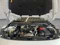 Ford Focus Turnier 1.5 EcoBlue Aut. TITANIUM EDITION Blanc - thumbnail 22