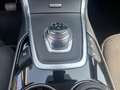 Ford Galaxy 2,0 EcoBlue SCR Titanium Aut. beheizbares Lenkr... Nero - thumbnail 9