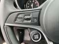 Alfa Romeo Stelvio 2,0 16V 200 Q4 Super Schwarz - thumbnail 25