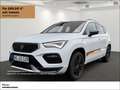 CUPRA Ateca 1.5 TSI 150 PS DSG SOFORT VERFÜGBAR! Weiß - thumbnail 1