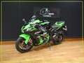 Kawasaki Grün - thumbnail 3