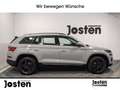 Skoda Kodiaq 2.0 TDI DSG LED DAB PDC Klima SHZ Grey - thumbnail 16