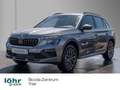 Skoda Kamiq 1,0 TSi DSG Selection Gris - thumbnail 1