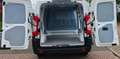 Citroen Jumpy 2.0HDi Kastenwagen 40Tkm Weiß - thumbnail 17
