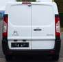 Citroen Jumpy 2.0HDi Kastenwagen 40Tkm Weiß - thumbnail 6