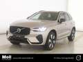 Volvo XC60 Plus Dark Recharge Plug-In Hybrid AWD T8 Twin Engi Grau - thumbnail 1