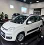 Fiat Panda 2012 1.2 69cv Bianco - thumbnail 2