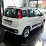 Fiat Panda 2012 1.2 69cv Bianco - thumbnail 4