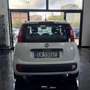 Fiat Panda 2012 1.2 69cv Bianco - thumbnail 5