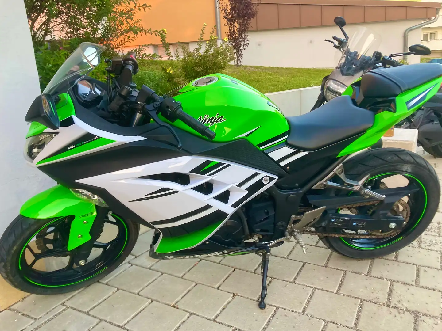 Kawasaki Ninja 300 Зелений - 1