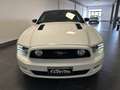 Ford Mustang MUSTANG 5.0 SALEEN V8 MANUALE GPL Weiß - thumbnail 3