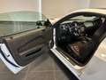 Ford Mustang MUSTANG 5.0 SALEEN V8 MANUALE GPL Weiß - thumbnail 10