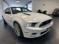 Ford Mustang MUSTANG 5.0 SALEEN V8 MANUALE GPL Weiß - thumbnail 4
