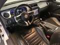 Ford Mustang MUSTANG 5.0 SALEEN V8 MANUALE GPL Weiß - thumbnail 11