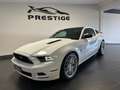 Ford Mustang MUSTANG 5.0 SALEEN V8 MANUALE GPL Weiß - thumbnail 2