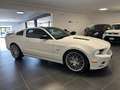 Ford Mustang MUSTANG 5.0 SALEEN V8 MANUALE GPL Weiß - thumbnail 5