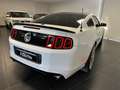 Ford Mustang MUSTANG 5.0 SALEEN V8 MANUALE GPL Weiß - thumbnail 9