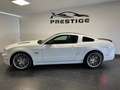 Ford Mustang MUSTANG 5.0 SALEEN V8 MANUALE GPL Weiß - thumbnail 6