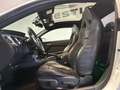 Ford Mustang MUSTANG 5.0 SALEEN V8 MANUALE GPL Weiß - thumbnail 13
