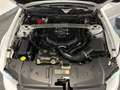 Ford Mustang MUSTANG 5.0 SALEEN V8 MANUALE GPL Weiß - thumbnail 23