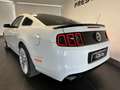 Ford Mustang MUSTANG 5.0 SALEEN V8 MANUALE GPL Weiß - thumbnail 7
