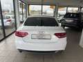 Audi A5 Sportback 2.7 TDI S-Line/Automatik/Standheizu Blanco - thumbnail 5