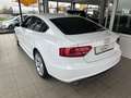 Audi A5 Sportback 2.7 TDI S-Line/Automatik/Standheizu Blanco - thumbnail 4