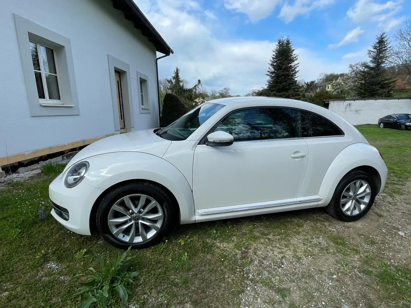 Volkswagen Beetle Beetle 1,2 TSI Weiß - 2
