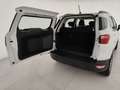 Ford EcoSport ecoboost Titanium 100cv PARK ASSIST!CARPLAY Weiß - thumbnail 16