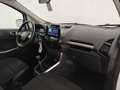 Ford EcoSport ecoboost Titanium 100cv PARK ASSIST!CARPLAY Weiß - thumbnail 10