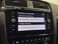 Volkswagen Golf R-Line Highline 1,0 TSI Limited Edition ab ca. 15 Rot - thumbnail 32