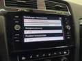 Volkswagen Golf R-Line Highline 1,0 TSI Limited Edition ab ca. 15 Rot - thumbnail 33