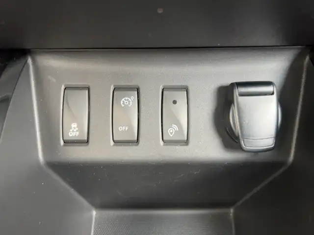 Dacia Spring view 18