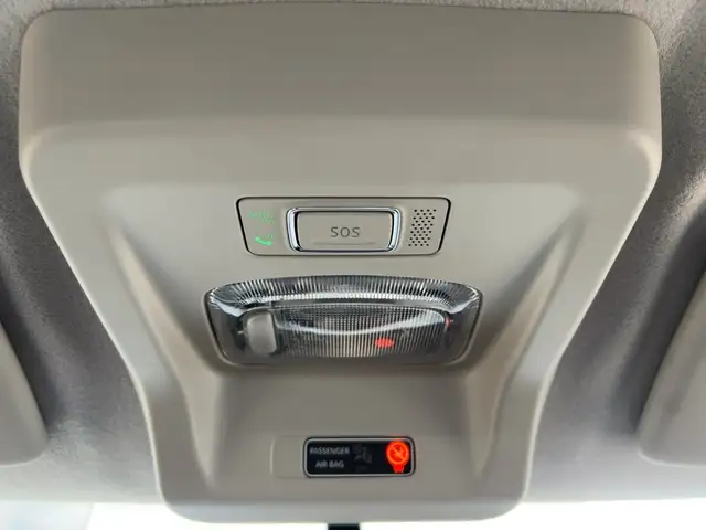 Dacia Spring view 17