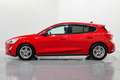 Ford Focus 1.5Ecoblue Trend Edition 95 Rojo - thumbnail 8